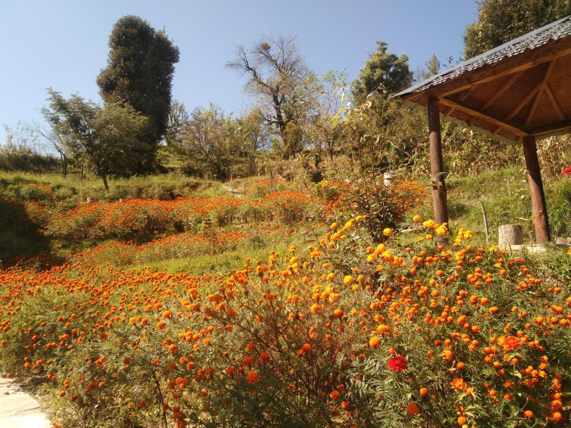 Francolin Lodge-Farmstay @ Darima Муктешвар Экстерьер фото